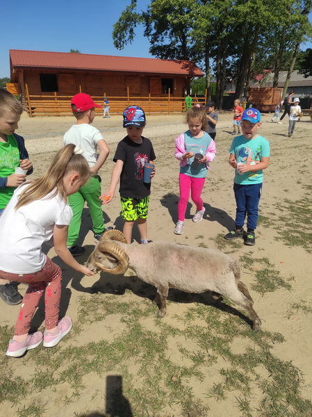 Przedszkolaki w Ranczo Agrobanda