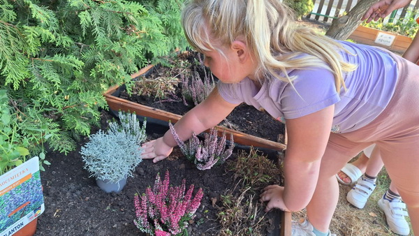 Zakadanie jesiennego ogrdka w przedszkolu
