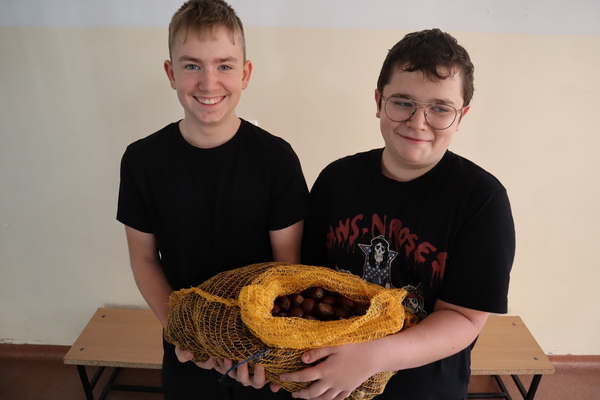 Zbi�rka kasztan�w 