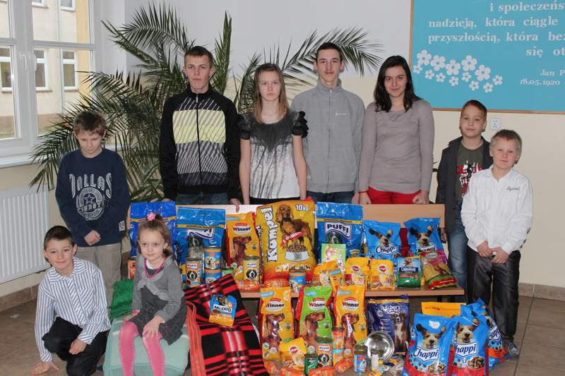 Zbirka dla zwierzakw ze schroniska w Boguszycach